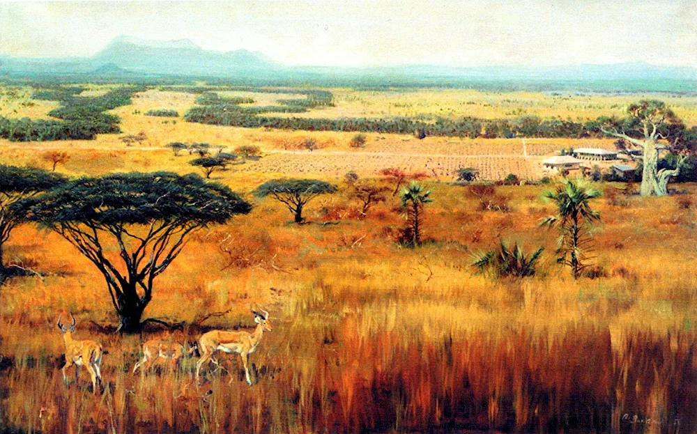 Africa desert Savannah jungle