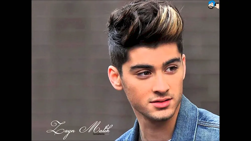 Zayn Malik 2013