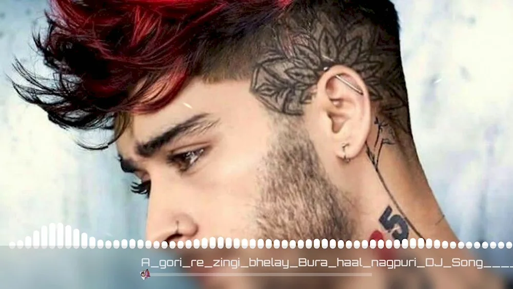 Zayn Malik 2020