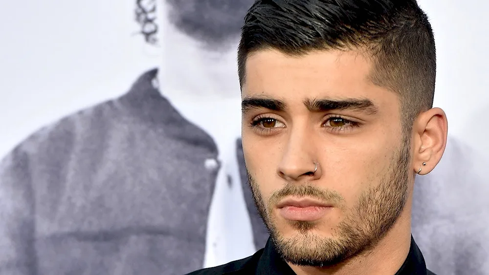 Zayn Malik 2022