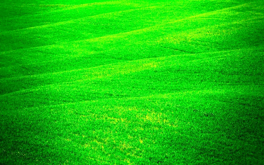 Green flowers