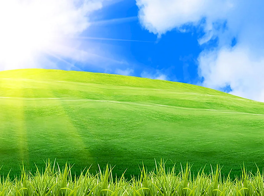 Grass background