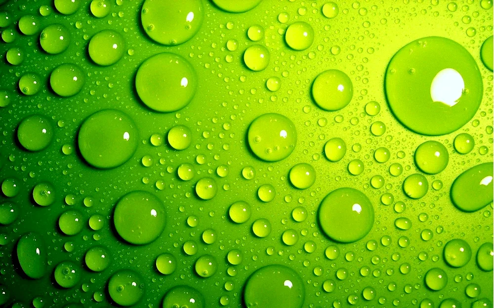 Green wallpapers