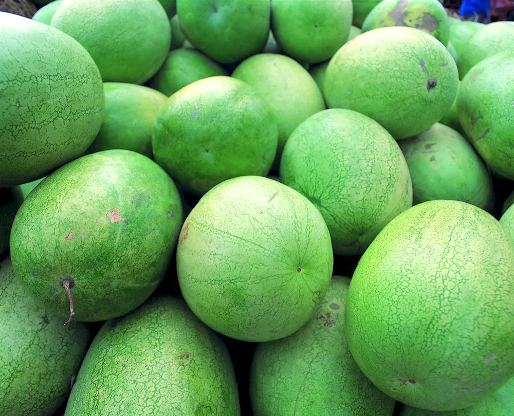 Green fruit