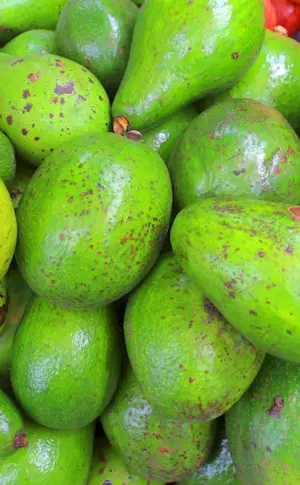 Green Fruit Thailand