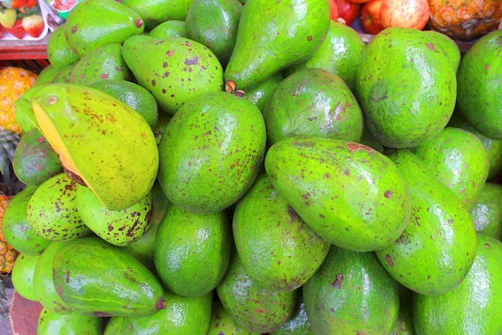 Green Fruit Thailand