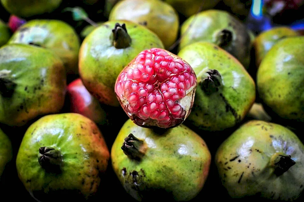 Fruit mangoes