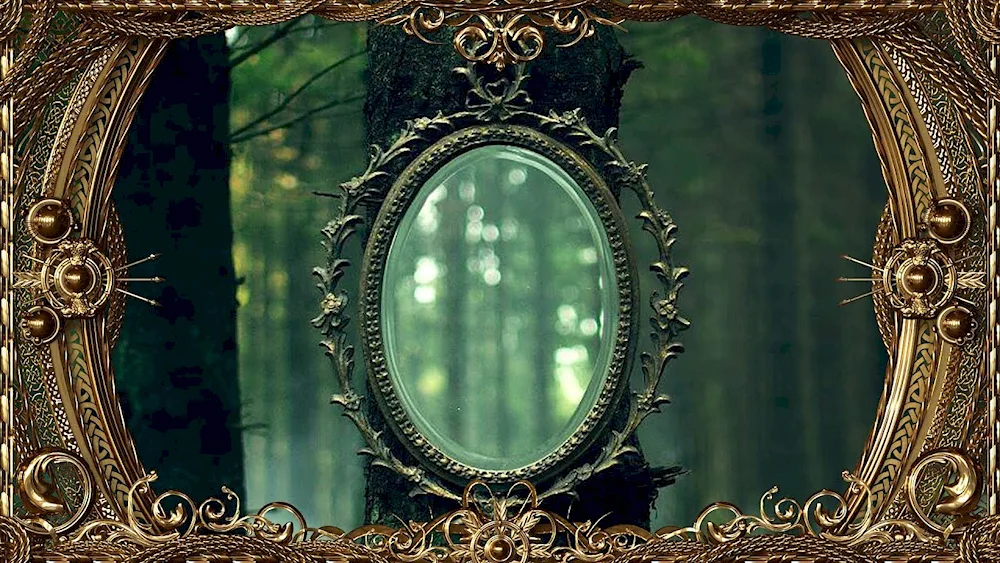 Mirror in the forest