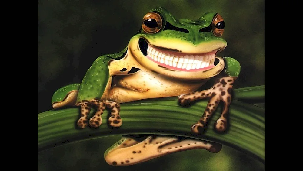 Cute Frog