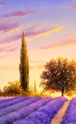 Jean Marc Janiachik Lavender Field