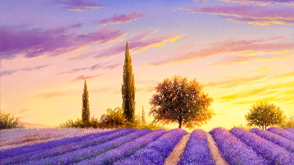 Jean Marc Janiachik Lavender Field
