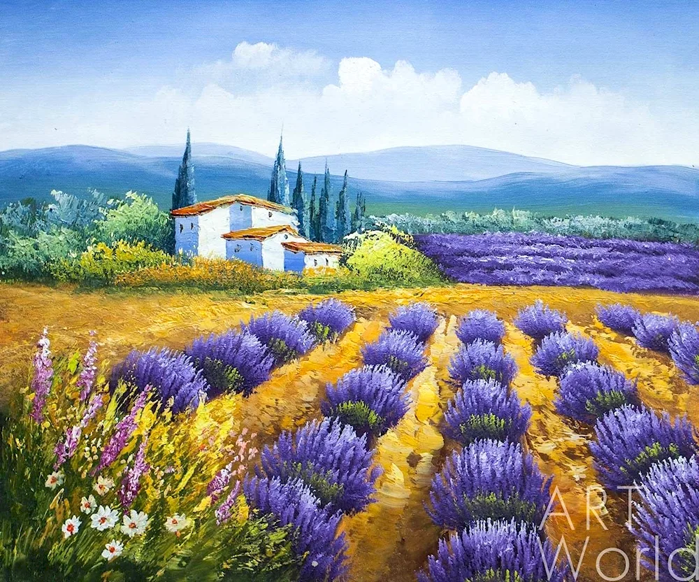 Lavender Fields fieldsJean Marc Gignaczyk
