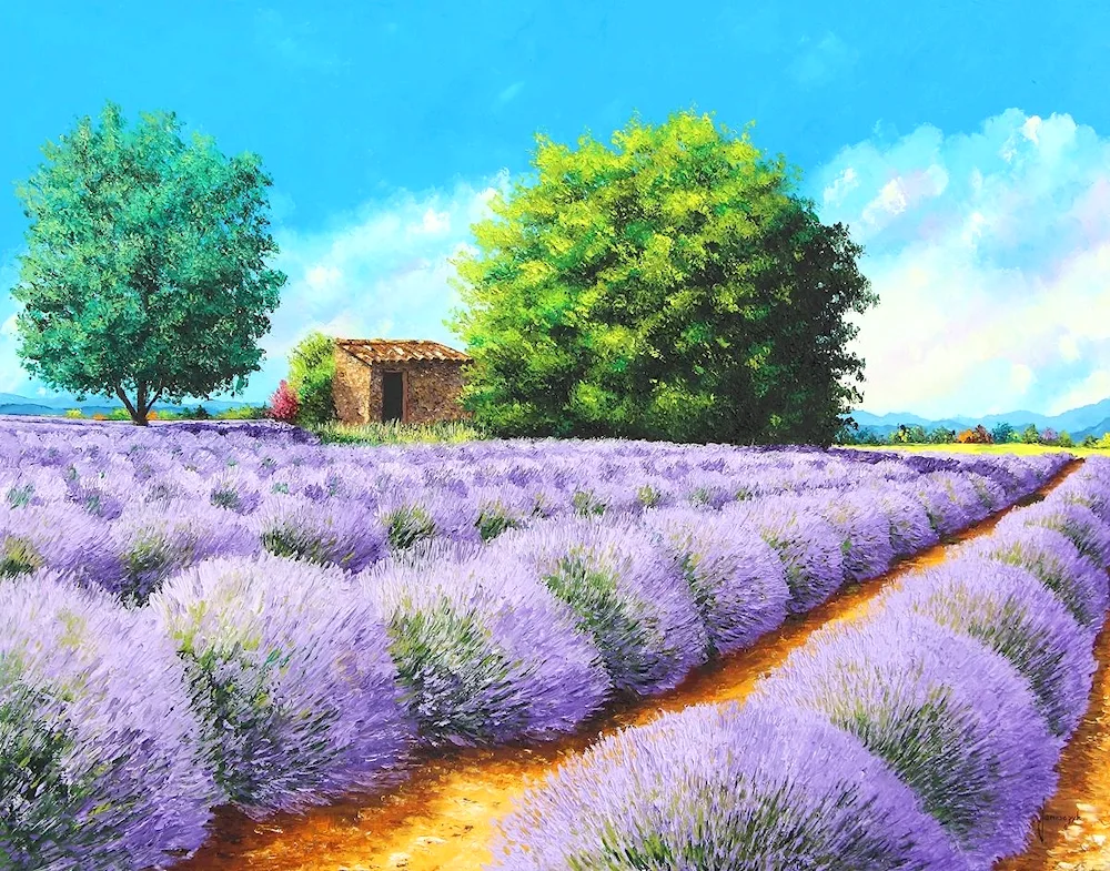 Lavender Fields landscape oil painting by Alla Bukovetskaya
