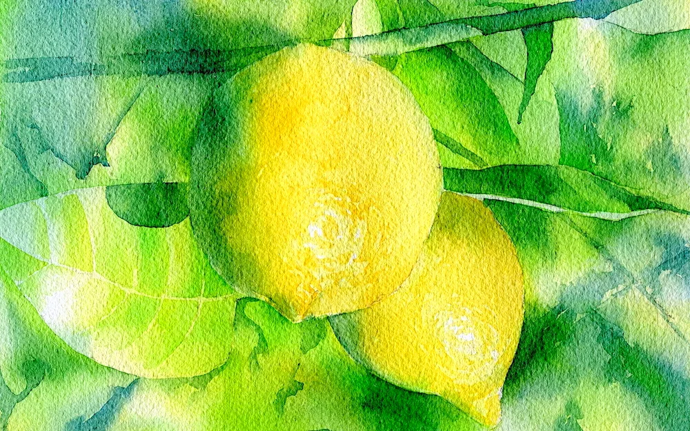 Yellow green watercolour painting