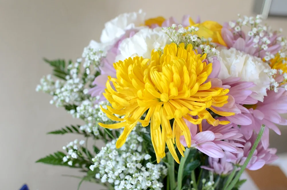 Yellow single-headed chrysanthemums in a bouquet