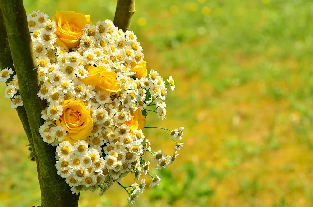 Flower arrangement