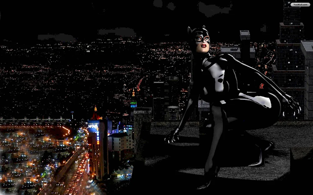 Catwoman Holly Berry Berry