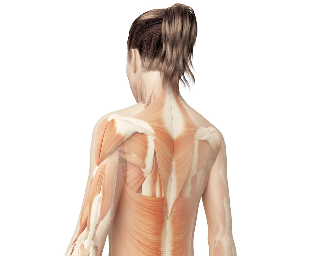 Man pulls arm reference