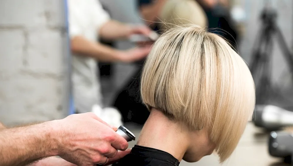 Women's haircut in the salon