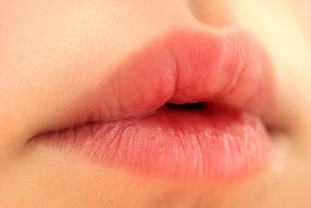 Beautiful women's lips