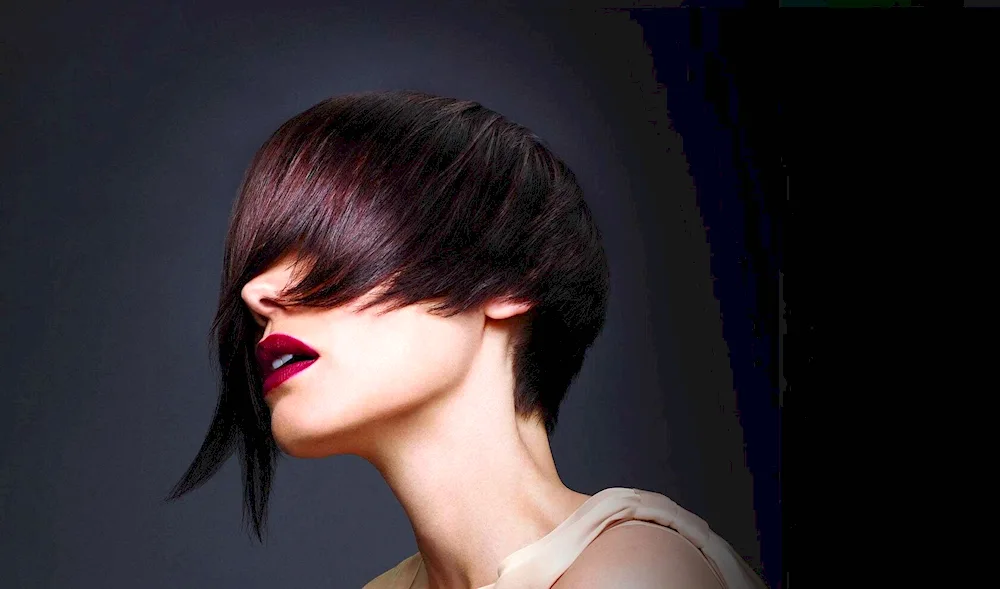 Women's haircuts