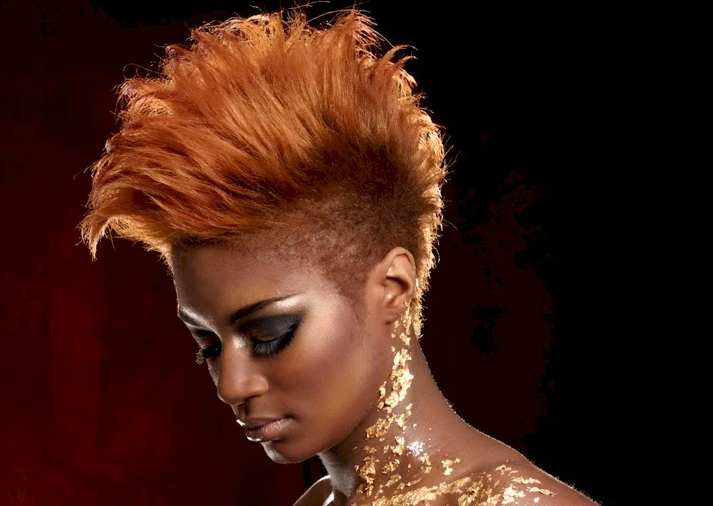 Punk hairstyle