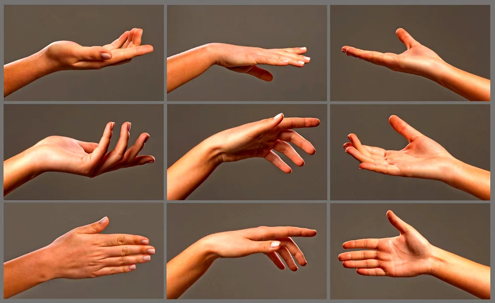 Hand reference