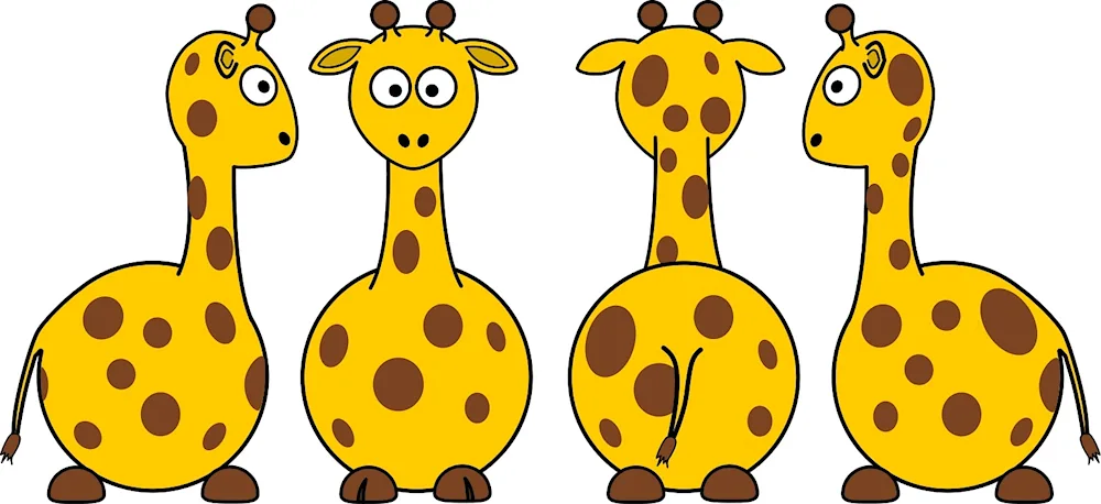 Giraffe cartoon giraffe