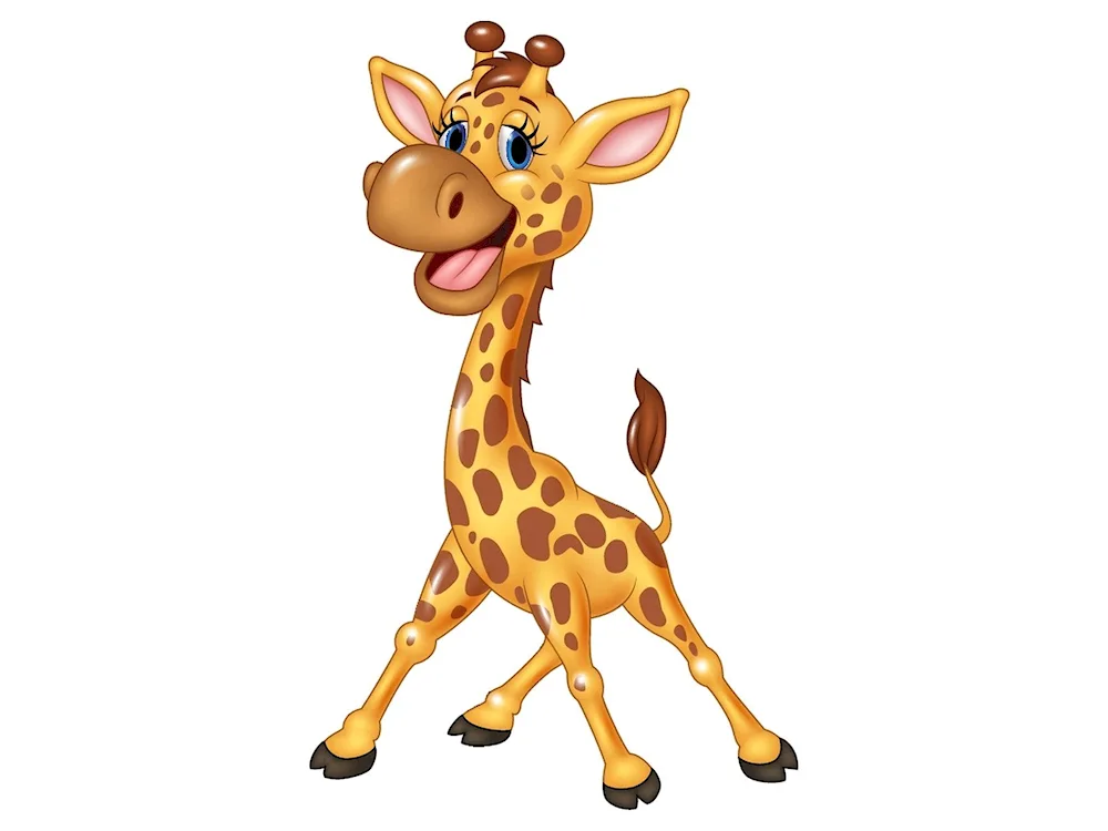 Giraffe on transparent background