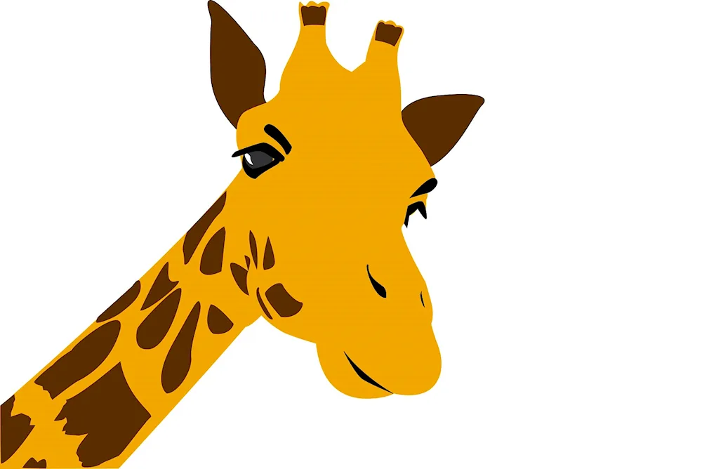 Giraffe cartoon