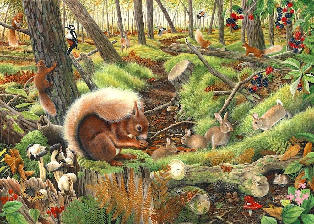 Animals in the forest