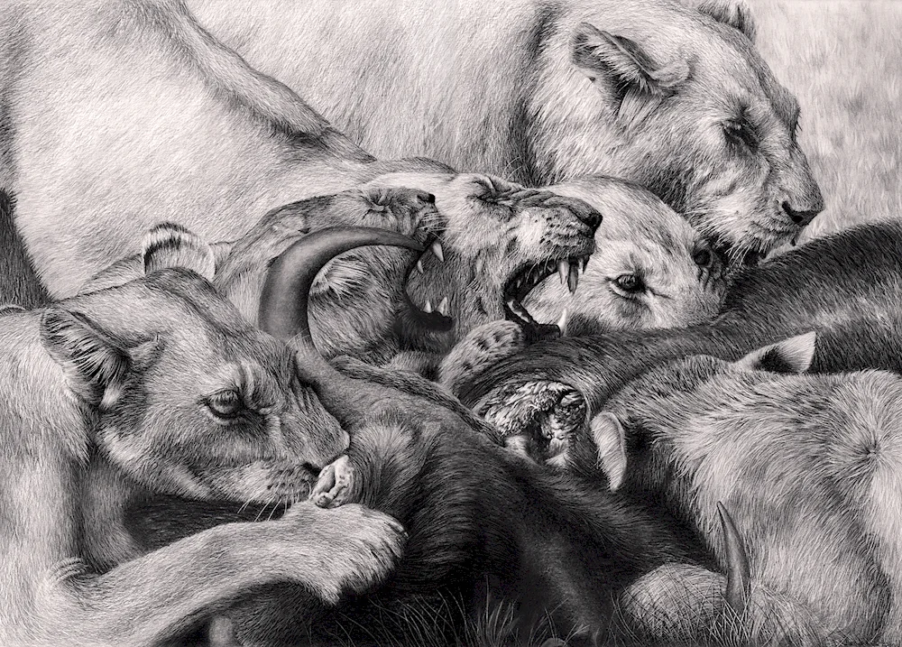 Painting in pencil