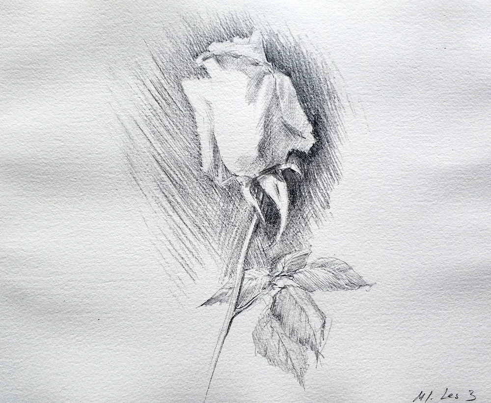 Black and white portrait