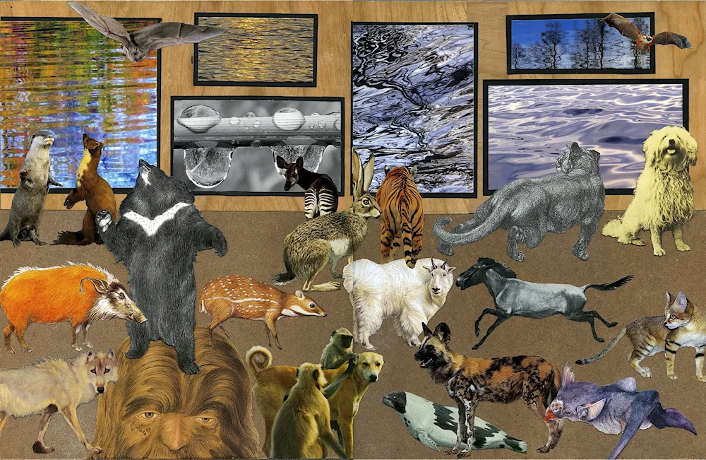 Animal collage