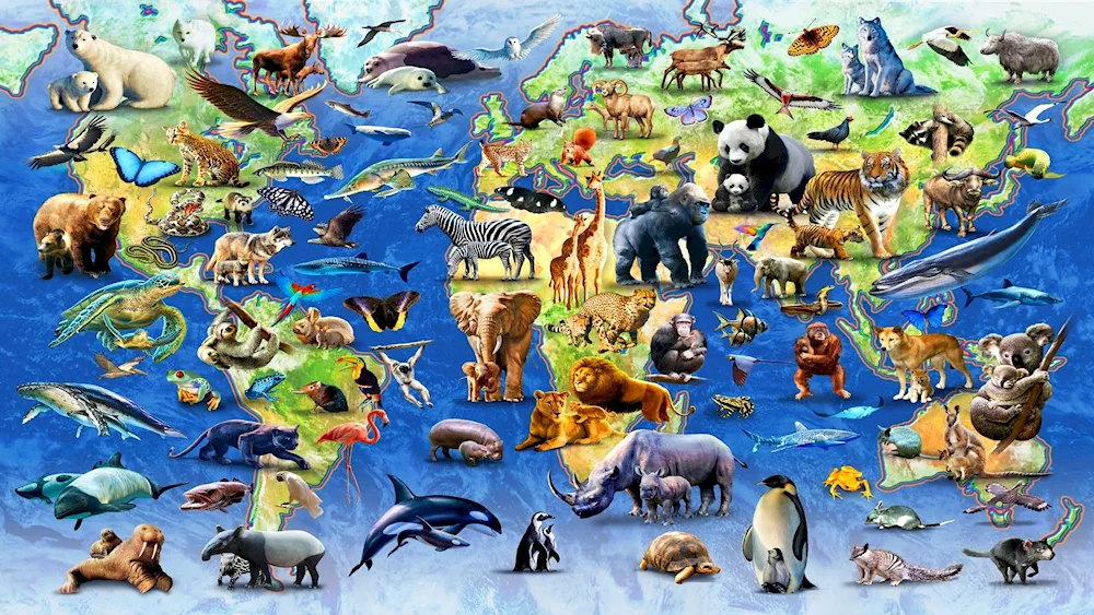 Animals of the earth