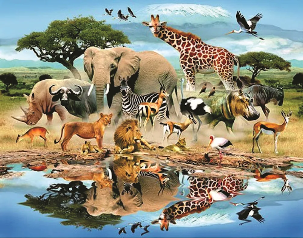 African animals