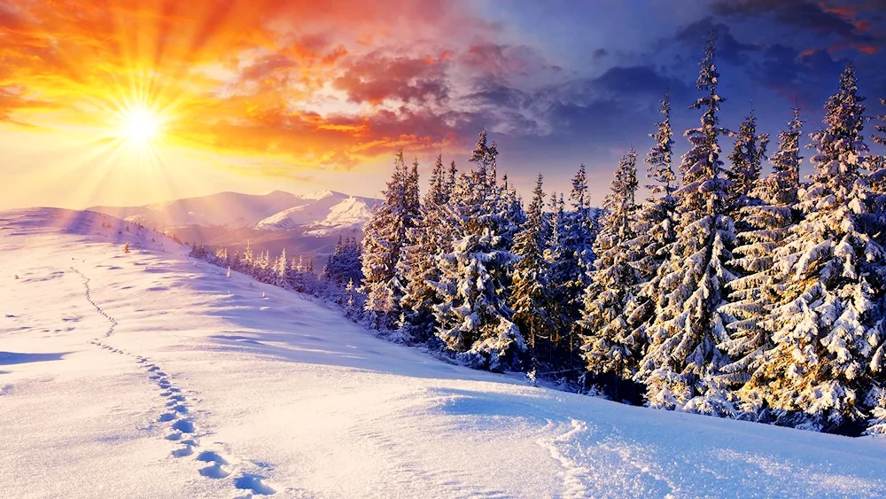 Winter