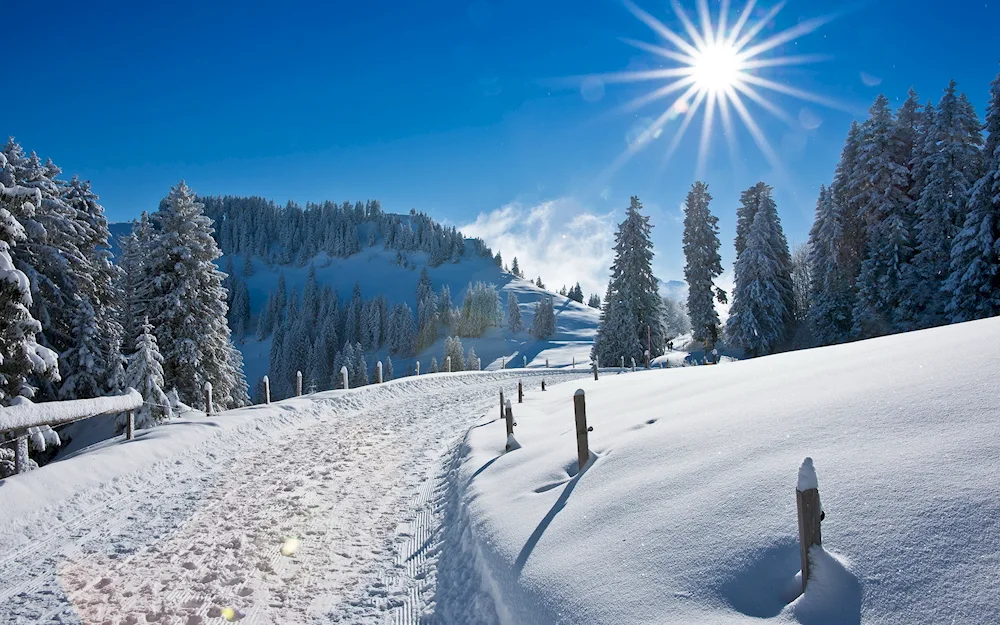 Winter
