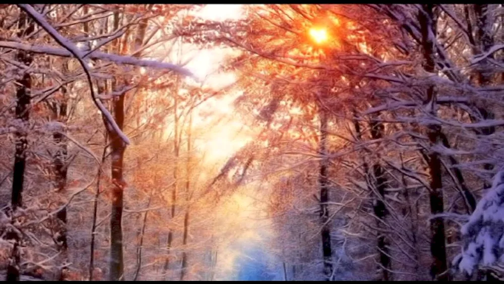 Winter nature