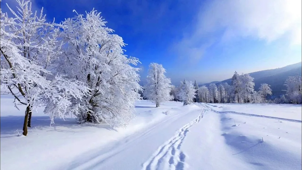 Winter snow