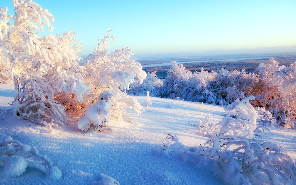 Winter Snow photo