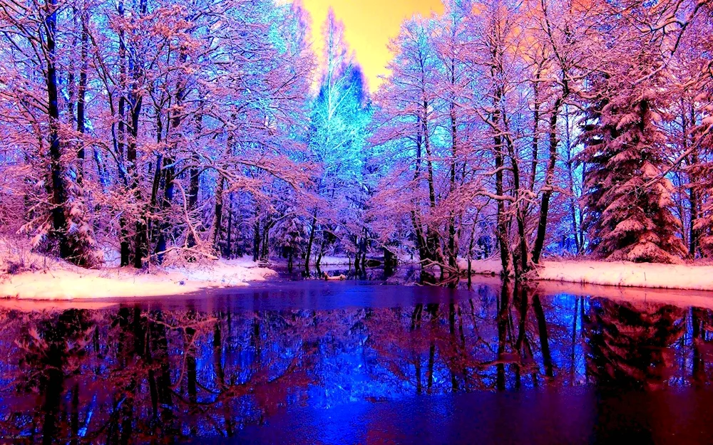 Beautiful winter wallpaper