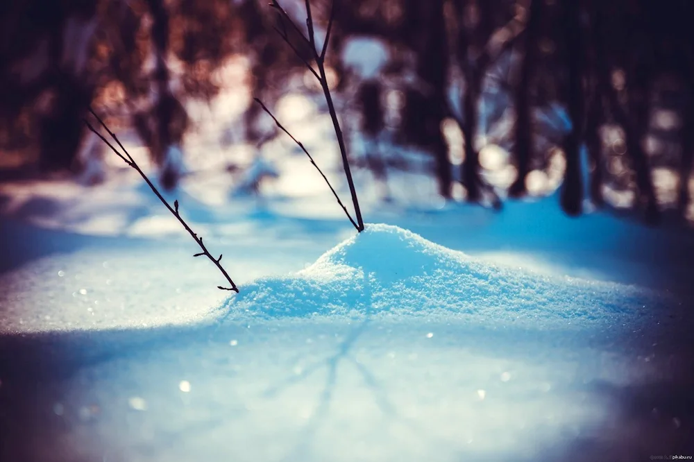 Winter snowflakes