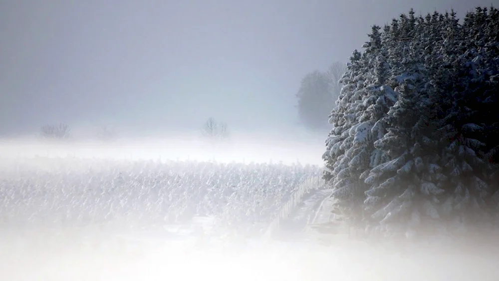 Beautiful snowfall