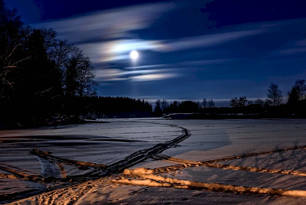 Winter night