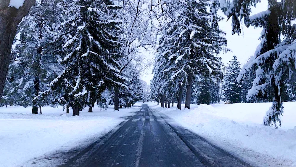 Winter landscape in Grabovica Serbia. ..