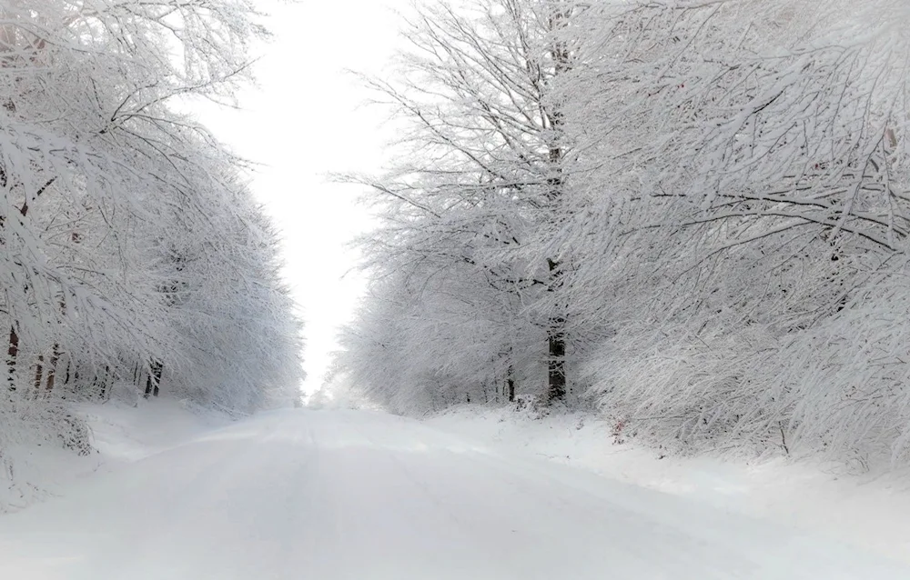 Beautiful snowfall