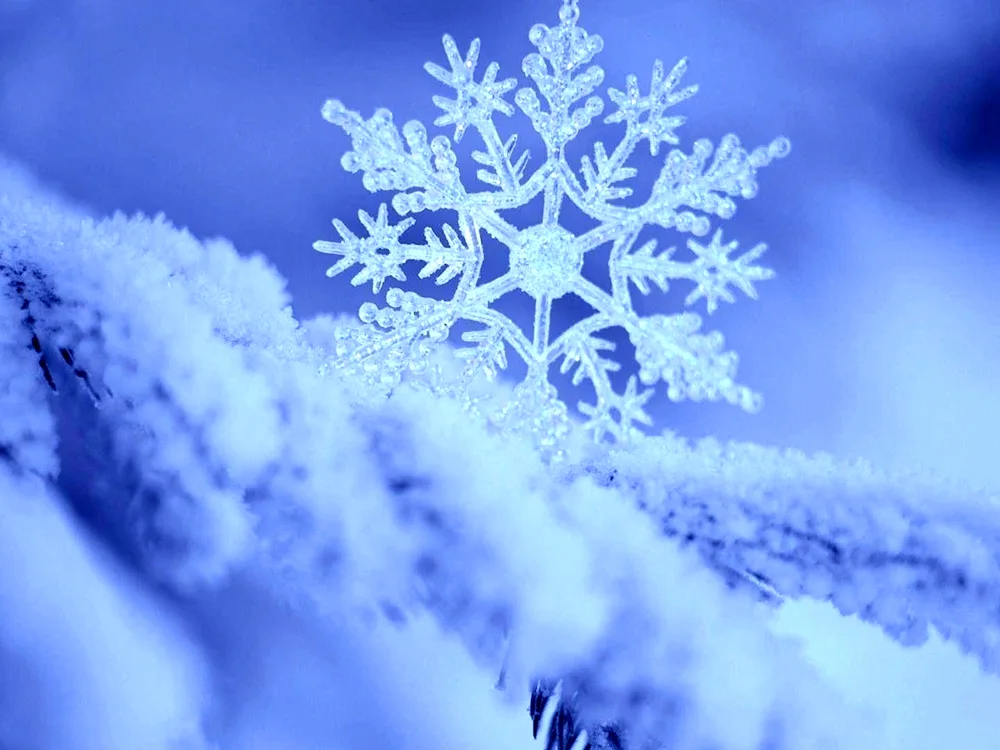 Winter snowflakes