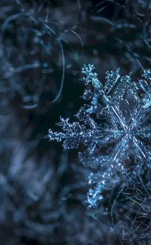 Winter snowflakes