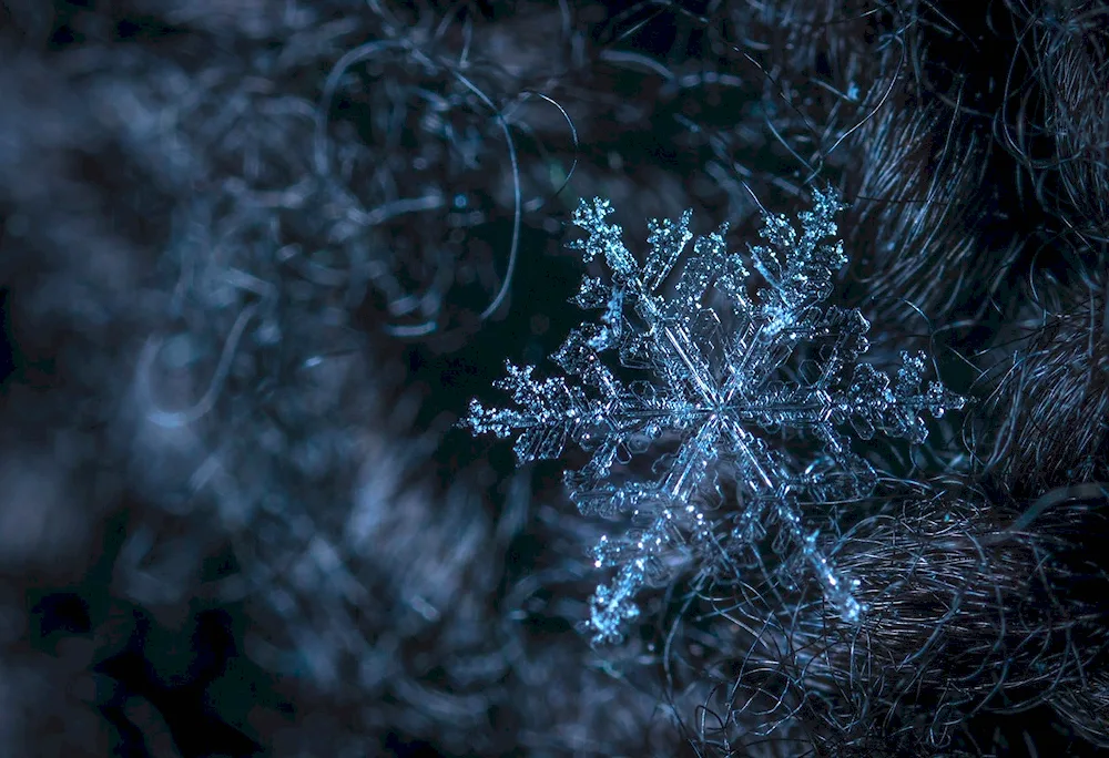 Winter snowflakes